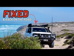 PORT LINCOLN DELIVERS || EPIC coastal 4WDing | Catch and Cook (finally..) | Family BIGLAP