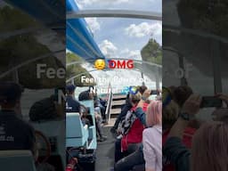 Europe’s most powerful waterfalls: Rheinfall Adventure 🌊  in Switzerland 🇨🇭 #shorts