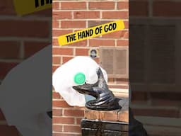 Milk Jug vs Hand of God 🤯