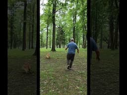 Moon's first long live tracking attempt at the AWDA K9 training seminar!