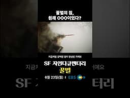 꿀벌의 침, 원래 ㅇㅇㅇ이었다?!｜#다큐프라임 꿀벌｜6월 23일(월) 첫방송