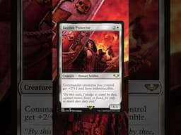 Flavor text of the day - 4/28/25 - Luckily my shield will protect me