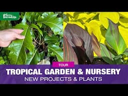 NEW projects & plants -  UK TROPICAL GARDEN