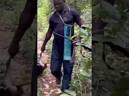 Bombata the fast hunter #hunter #Nigeriahunter #adventure