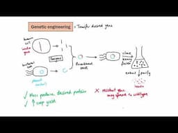 GCSE Biology - B14 Variation and evolution OVERVIEW