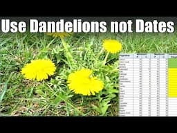 Let Dandelions tell You When to Plant!