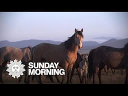 Nature: Horses in the Sierras
