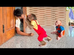 Cutis prevents dad from taking baby monkey to get vaccinated 🤣 belly laugh