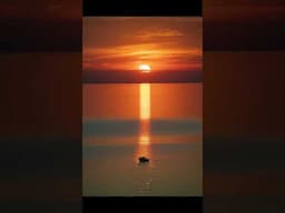 1.0 Composition - 1-Minute Photography School #photography #composition  #learning #school #camera