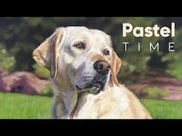 Cream Labrador Pet Portrait in Soft Pastel - Timelapse