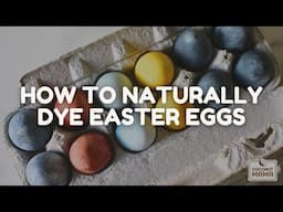 How To Naturally Dye Easter Eggs With Plants & Herbs