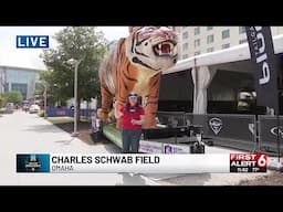 CWS 2025: LSU's Mardi Gras Mike the Tiger makes its way to Omaha