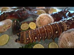 Bahia Principe Luxury Akumal (FR).#ExploreBahiaPrincipeHotels