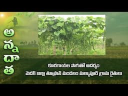 Profitable vegetable farming by Tupran farmers of Medak district | ETV