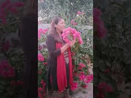 दो दिन की जिंदगी - जिंदगी कैसे जियें - Monica Gupta - #Shorts
