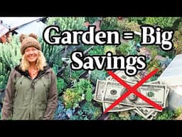You CAN Save Money by Growing a Garden 💰