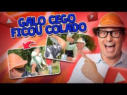 GALO CEGO PEGOU AR! GRUDOU AS MÃO E FICOU DOIDIM 😡😂