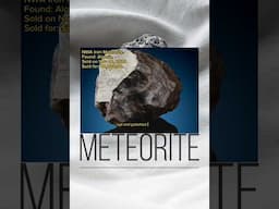 This Iron meteorite from Algeria was sold for $8,000. #meteorite #meteor