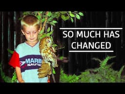 I QUIT my dream career - Here's why!