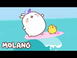 🩵✨ The Beach | Molang | Cartoons for Kids