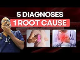 How Gut Health, Inflammation & Stress Led to Chronic Disease