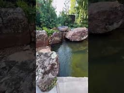 Daydreaming In The Water Garden Capital Of The World! 😍  #shorts