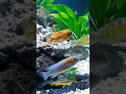 10 Years Later *What a Difference!*