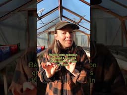 Le tuto jardinage le plus simple de l'année 🌱