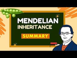 Laws of Inheritance I Mendelian Inheritance I Summary