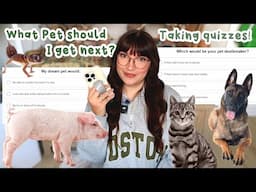 What pet should I get? Taking quizzes to find out