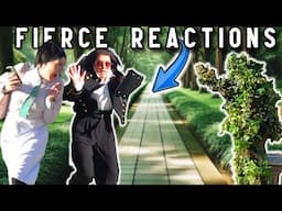 Wild & Shocking Reactions: You Won’t Expect This!