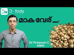മാക കഴിക്കണോ? 💪 Is Maca Root Safe and Effective in Boosting Sexual Function?  🩺 Malayalam