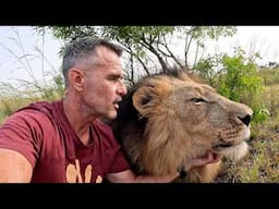 Naughty LION Bites | The Lion Whisperer