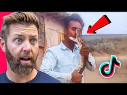 Wildlife Expert Reacts to Deadly Indian Animal TikToks (Illegal)