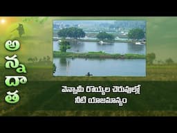 Water management of Vennamaei ponds in summer | ETV Telugu