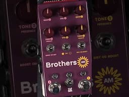 @ChaseBlissAudio & Analog Man took the pedal world by storm ⛈️ #guitar #guitarpedal