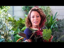 4 DICAS pra REGAR BEM as PLANTAS quando for VIAJAR