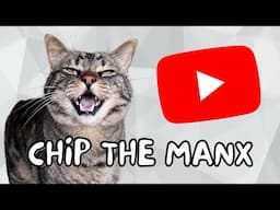 Chip The Manx: His Wild Life Story
