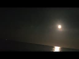 Sitting near the sea at midnight