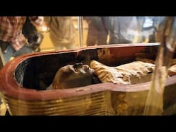 The Mysterious Mummy | EXPOSED