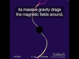 Black Hole Consumes Magnetized Neutron Star