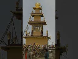 Amazing Yangri in The Himalayas. Check out the full video!