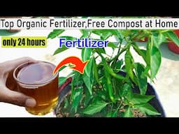How to Make Organic Compost at Home | Best Fertilizer for Vegetables & Plants