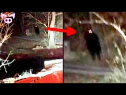 SHADOW Figures & Goat Men - 10 TERRIFYING Vids You Can't Unsee