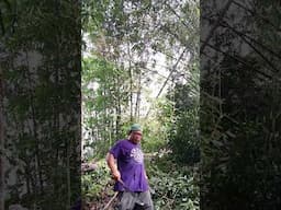 nawili na sa kaka reels kaya nagalit si panoy haha #justforfunonly #funnyvideo