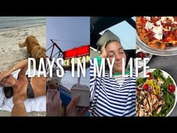 VLOG: back home settling in, bad news :( post bach blues, swimming with Brody, etc.