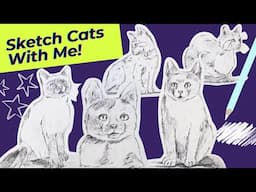 Let's Sketch Cats Together!