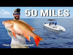 From Ocean to Restaurant | Fishing 50 Miles Offshore