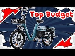 Le vélo cargo le moins cher du marché (Onesport OT1)