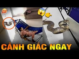 🔥 7 Bí Ẩn Ly Kỳ Về Chiếc Võng Mà Chưa Ai Nói Đầy Đủ Cho Bạn Biết | Kính Lúp TV